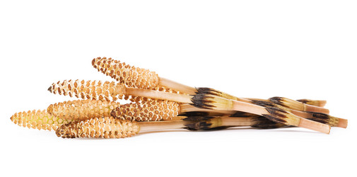 Similar image 21244520