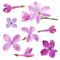 Similar image 21248602