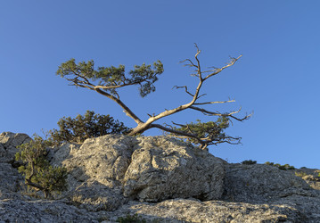 Similar image 21246454