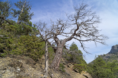 Similar image 21246455