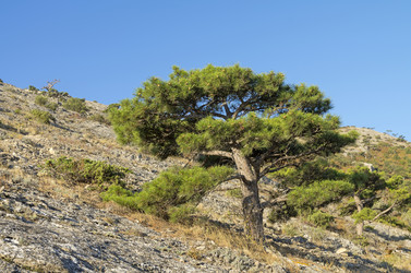 Similar image 21246456