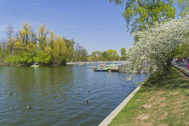 Similar image 21246457