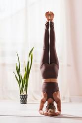 Similar image 21250466