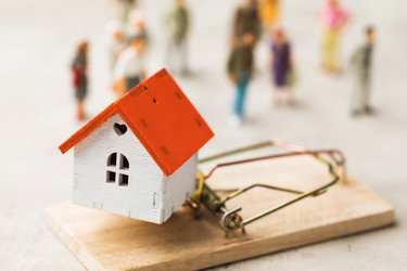 Similar image 21250482