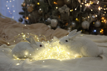 Similar image 21244495