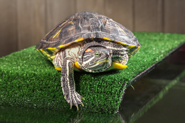 Similar image 21244505