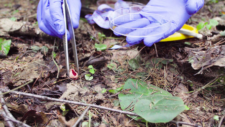 Similar image 21249659