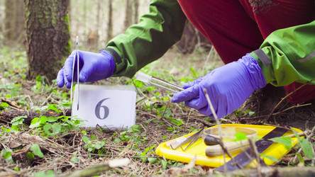 Similar image 21249660