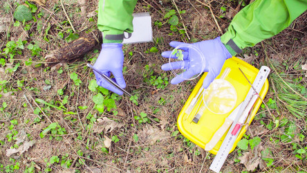 Similar image 21249662