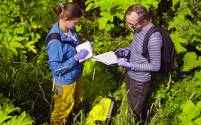 Similar image 21249668