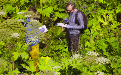 Similar image 21249669