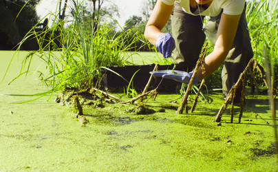 Similar image 21249676