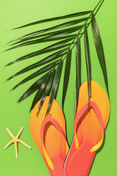 Similar image 21250491