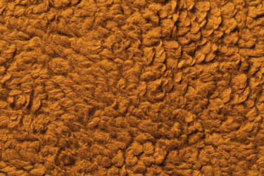 Similar image 21248608