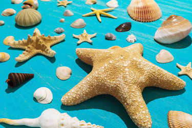 Similar image 21250518