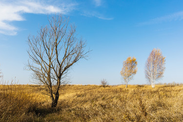 Similar image 21250524