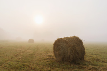 Similar image 21250525