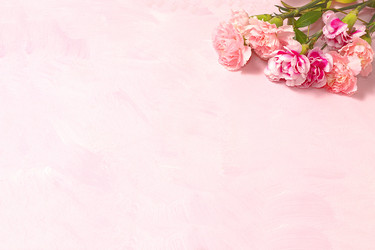 Similar image 21246764