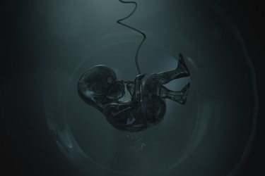 Similar image 21246462