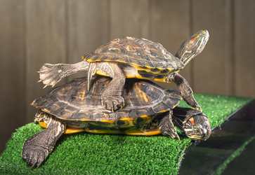 Similar image 21246572