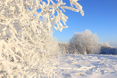 Similar image 21246738