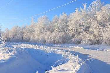 Similar image 21246745