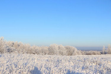 Similar image 21246792