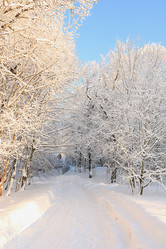 Similar image 21246795