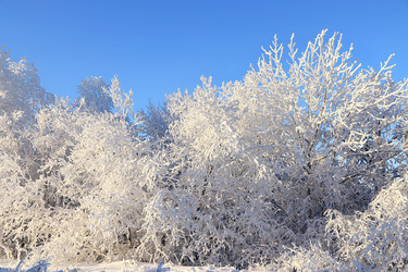 Similar image 21246797