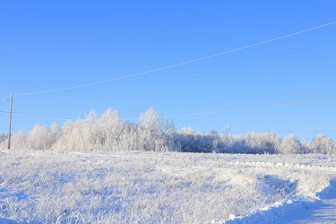 Similar image 21246801