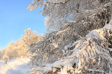 Similar image 21246806