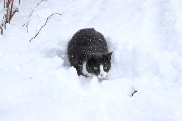 Similar image 21246810