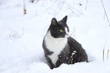 Similar image 21246812