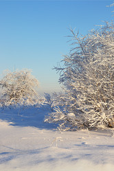 Similar image 21246814