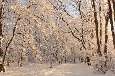 Similar image 21246815