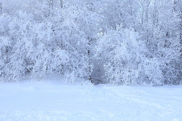 Similar image 21246816