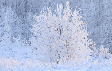 Similar image 21246817