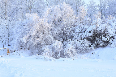 Similar image 21246819