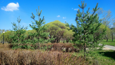 Similar image 21246465