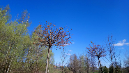 Similar image 21246467