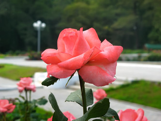 Similar image 21246580