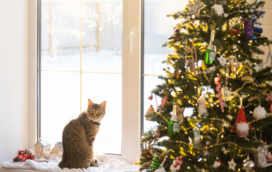 Similar image 21246394