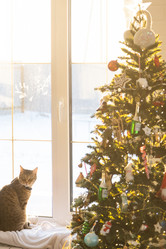 Similar image 21246398