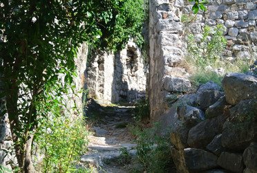 Similar image 21251988