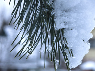 Similar image 21246498