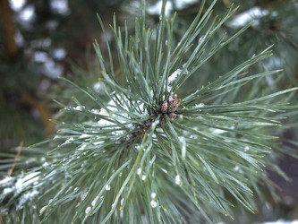 Similar image 21246499