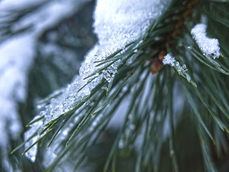 Similar image 21246501