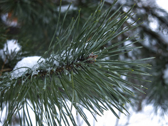 Similar image 21246503