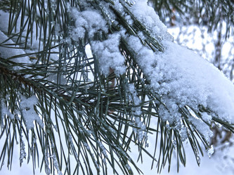 Similar image 21246504