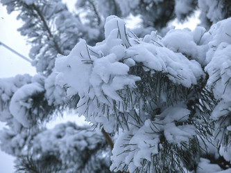 Similar image 21246505